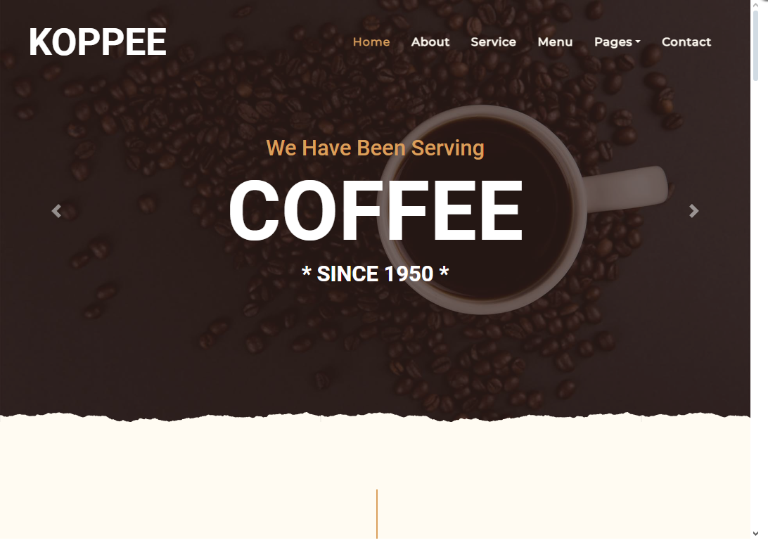 Servicios de diseño web profesional